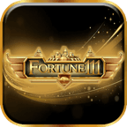 Fortune111 logo